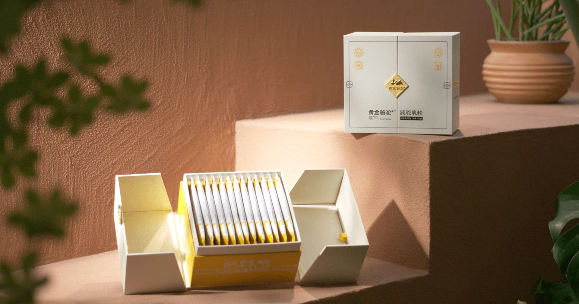 定位小众高端乳粉，尊龙凯时人生就搏推出驼奶品牌“黄金骆驼+”，角逐乳品新市场！